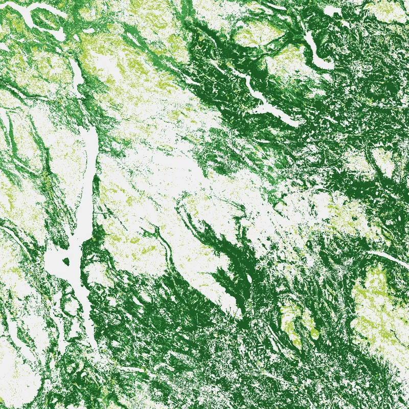 Copernicus Land Monitoring Service: Forest and grass layers