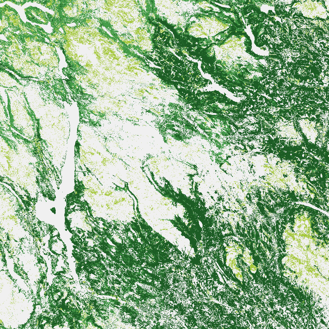 Copernicus Land Monitoring Service: Metsä- ja ruohokerrokset